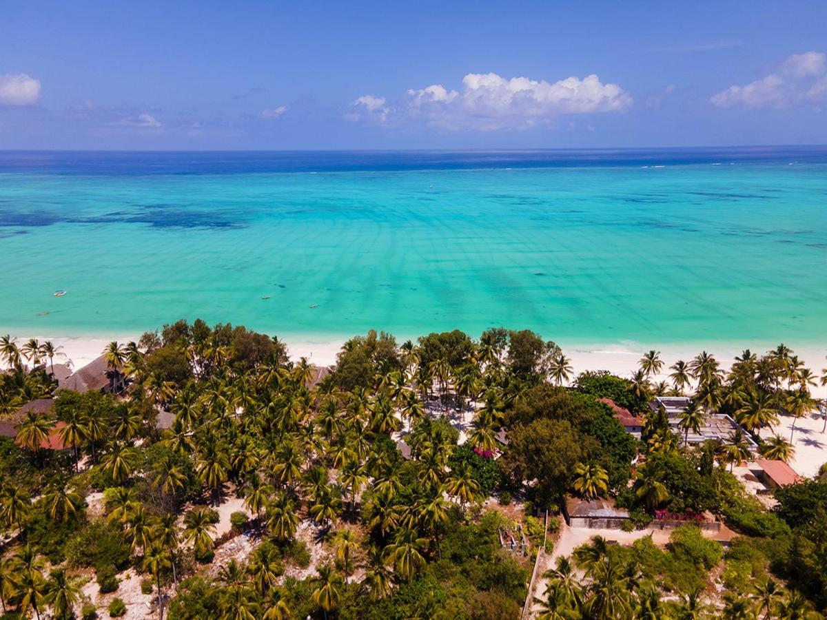 Heart Of Zanzibar Bungalows Paje Kültér fotó